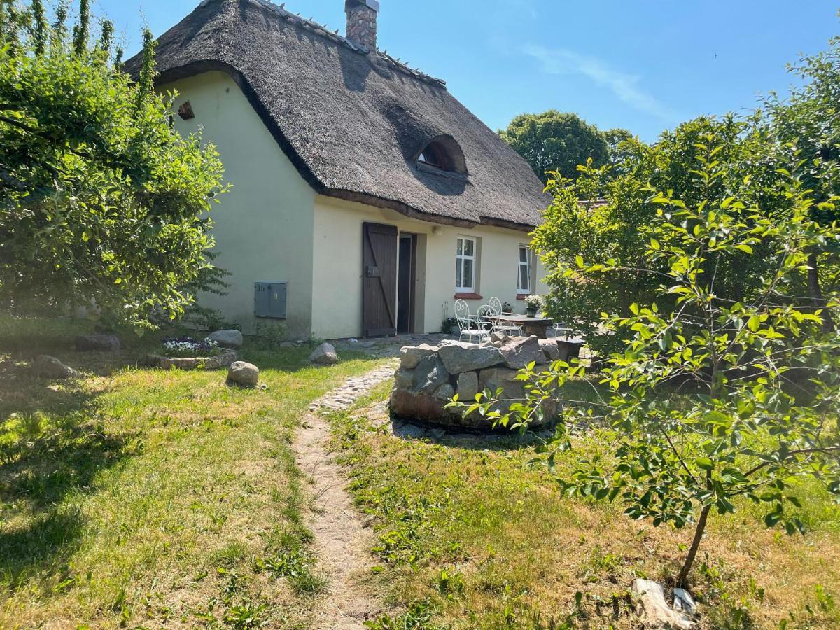 Oaza Pod Strzecha Klimatyczny Dom Z 3 Sypialniami Na Wylacznosc Z Kominkiem I Duzym Ogrodem Ustronie Morskie Esterno foto